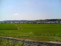 20060825110448a1.JPG